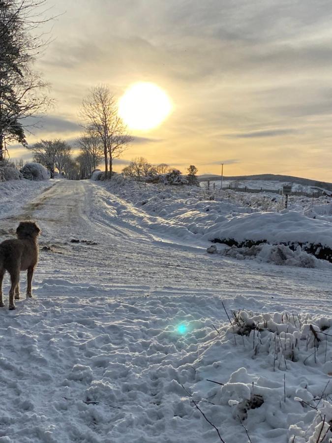 Horse And Hound Country Inn Bonchester Bridge Екстериор снимка